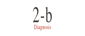 2-b.Diagnosis